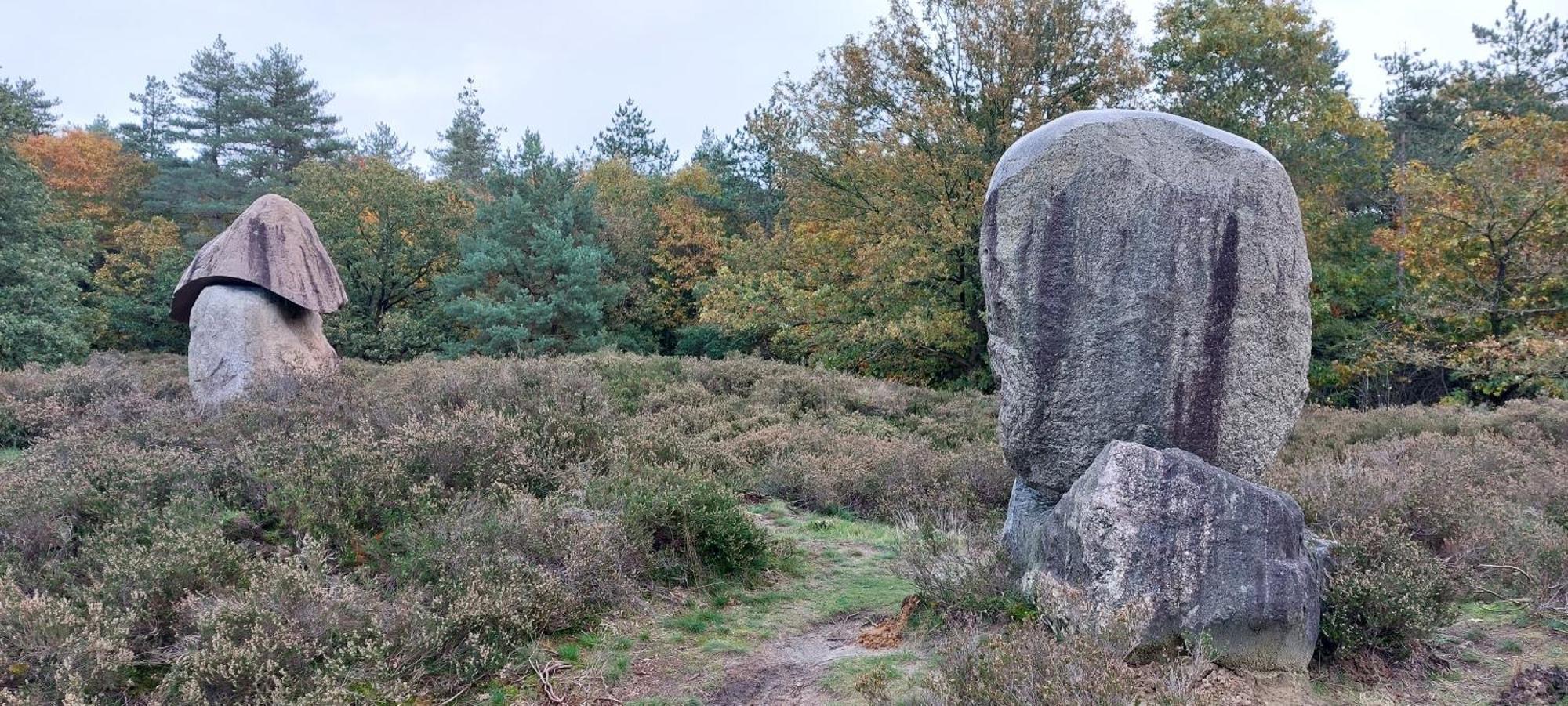 Mooi Drenthe Vila Wezuperbrug Exterior foto