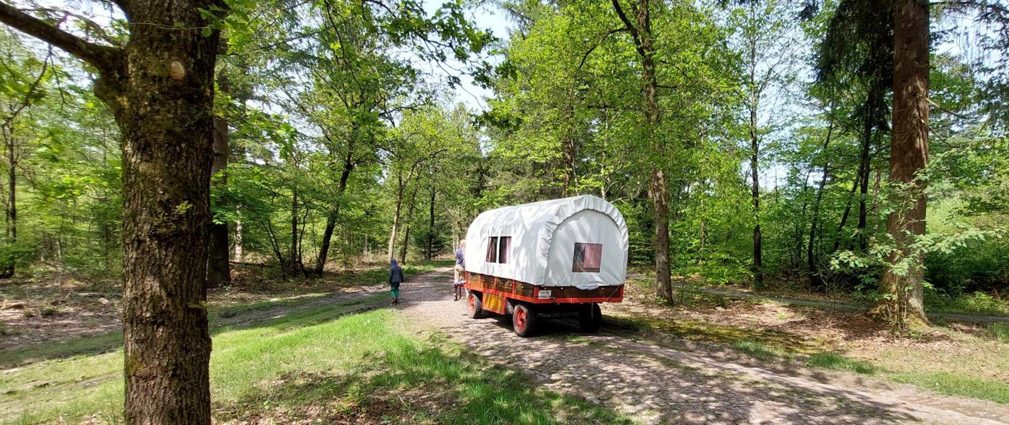 Mooi Drenthe Vila Wezuperbrug Exterior foto